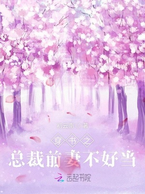 穿书之总裁前妻不好当