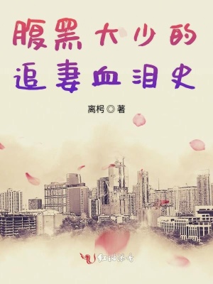 腹黑大少的追妻血泪史