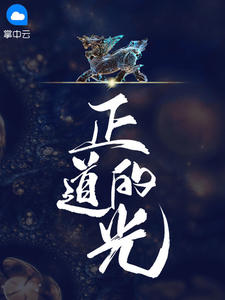 正道的光
