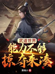 武道世界：能力不够，掠夺来凑