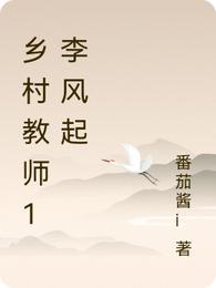 乡村教师1李风起