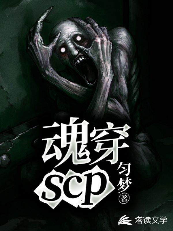 魂穿scp