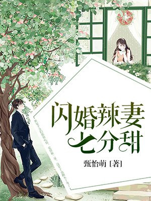 闪婚辣妻七分甜