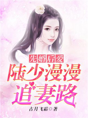 先婚后爱：陆少漫漫追妻路