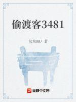 偷渡客3481