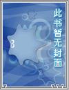 第一章傻子天阳城林家