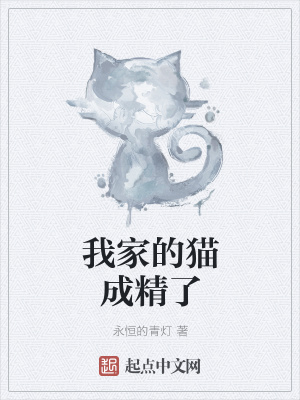 我家的猫成精了