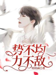 势不均力不敌